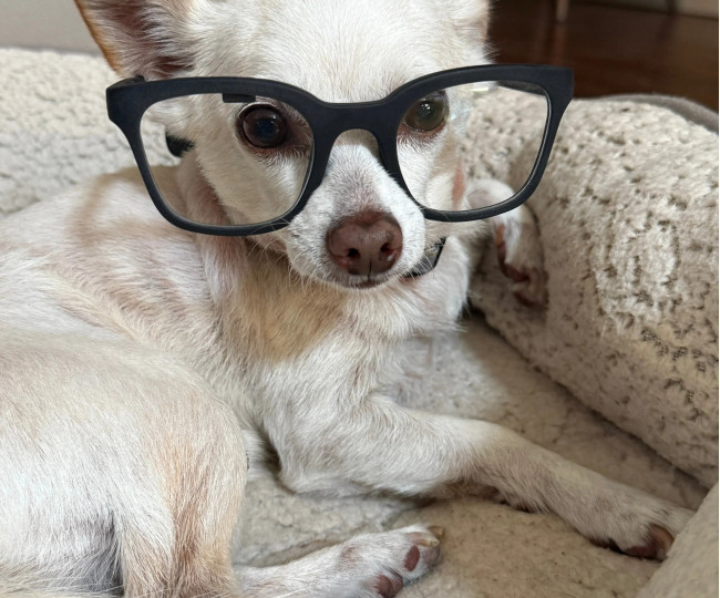 Розумні окуляри зі штучним інтелектом Halo